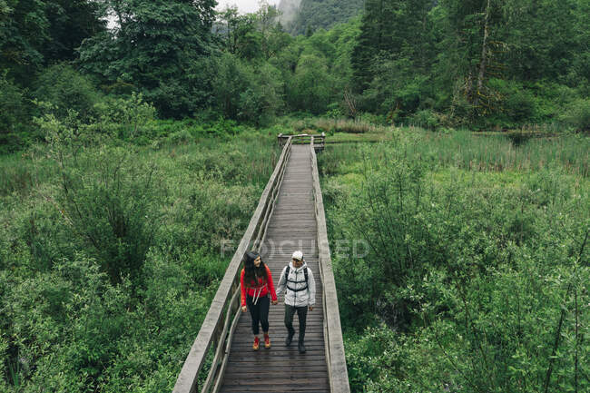 Um jovem casal desfruta de uma caminhada em uma floresta no noroeste do Pacífico — Fotografia de Stock