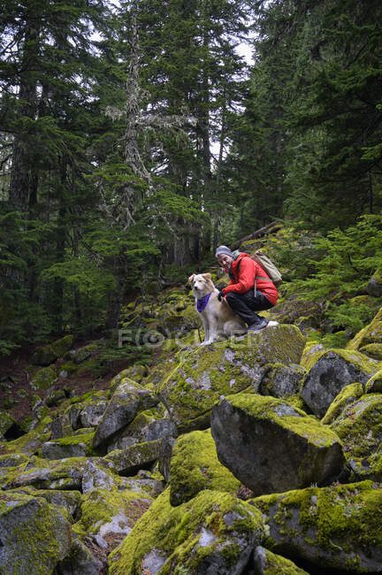 Hombre excursionista y perro esponjoso de pie sobre rocas musgosas en las montañas - foto de stock