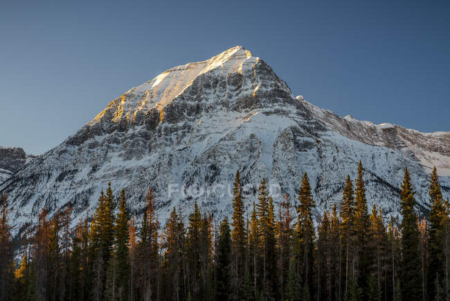 Beau paysage d'hiver au coucher du soleil, montagnes — Photo de stock