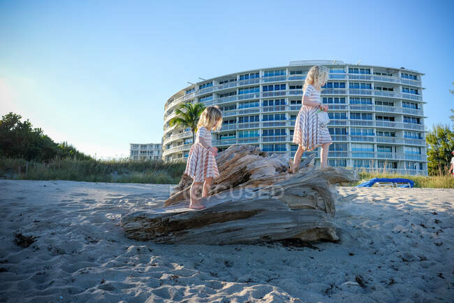 Dos chicas jugando en madera a la deriva en la playa - foto de stock