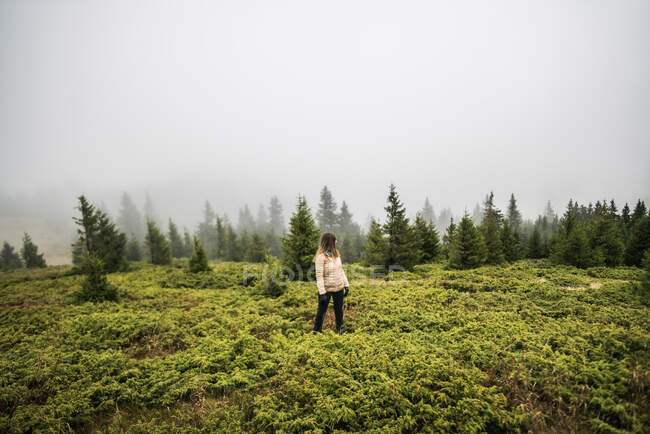 Chica rubia cerca de bosque de pino - foto de stock