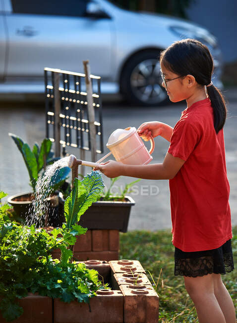 Una ragazza sta annaffiando le sue verdure — Foto stock