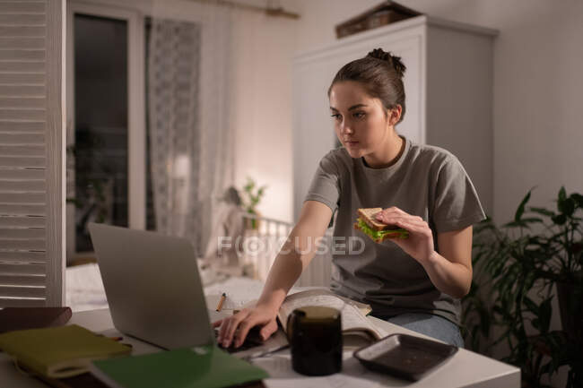 Inteligente estudiante femenina con sabroso bocadillo escribiendo en el ordenador portátil mientras estudia en casa - foto de stock