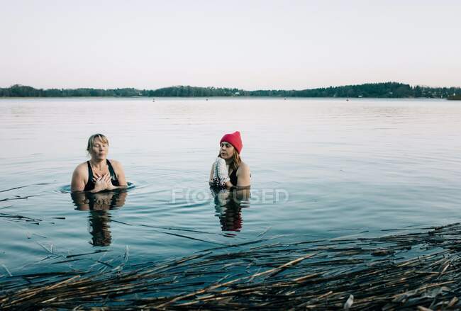 Две женщины в спокойной северной морской холодной воде купаются в Швеции — стоковое фото