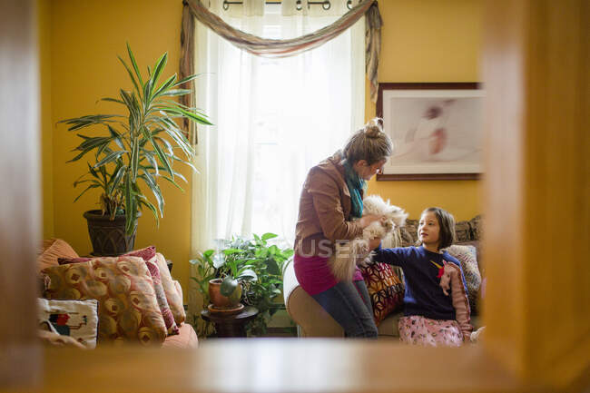 Framed view of woman and child petting cat in living room together — Stock Photo
