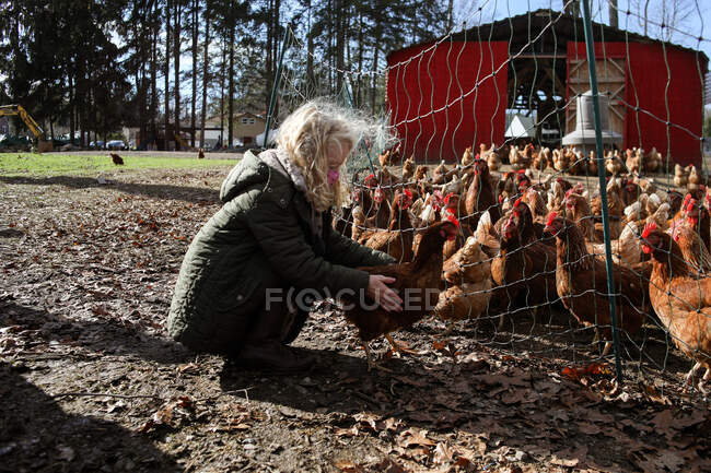 Girl with blonde hair bent over holding chicken on a farm — Stock Photo