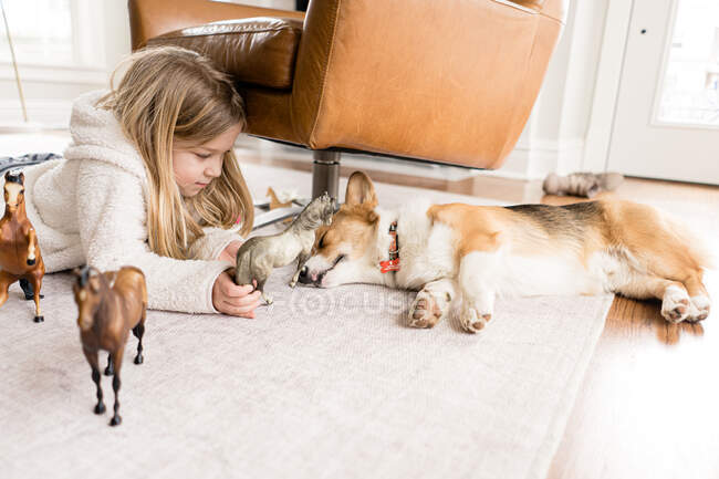 Vista lateral de chica rubia jugando con caballos de juguete con perro corgi dormido - foto de stock