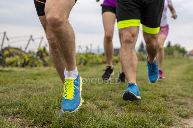 Cropped shot of group of men running outdoors — Stock Photo
