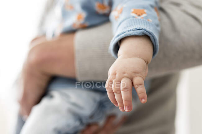 Recortado tiro de mano de adorable pequeño bebé - foto de stock