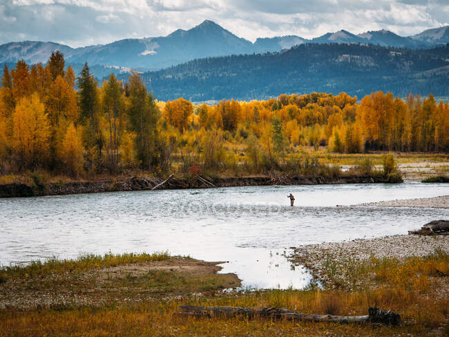 Ein Fliegenfischer wirft im Herbst in Wyoming in den Schlangenfluss — Stockfoto