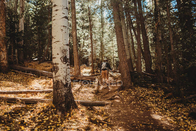 Hiking into the forest of trees — Stock Photo