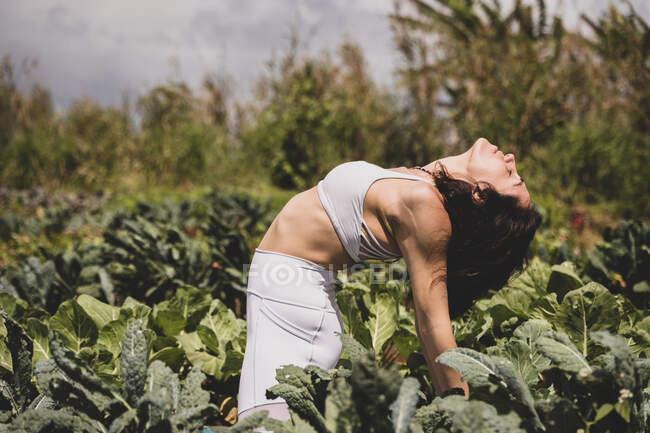 Female yogi backbends in a field — Stock Photo