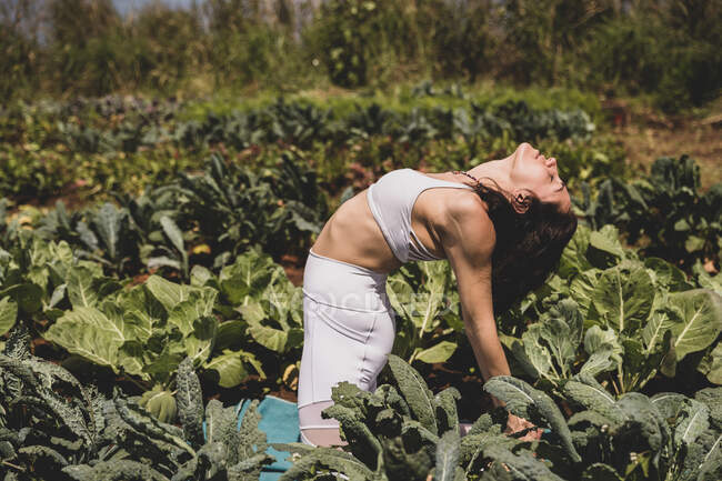 Weibchen praktizieren Yoga mit Rückenbeuge in einem Gemüsefeld — Stockfoto