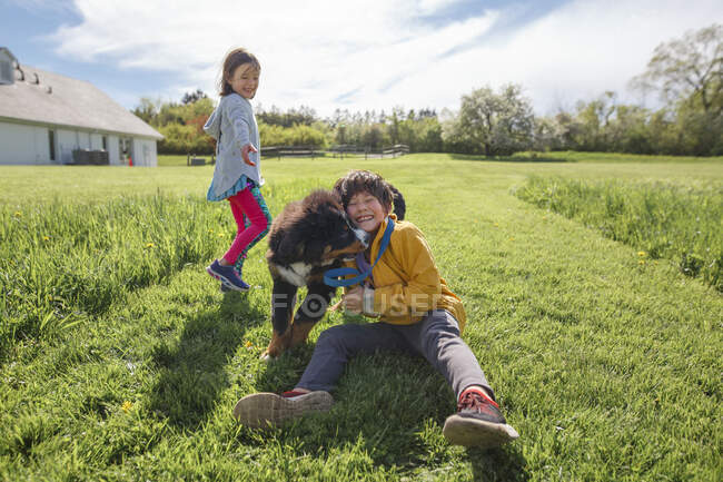Um menino alegre luta com um filhote de cachorro, sorrindo irmã no fundo — Fotografia de Stock