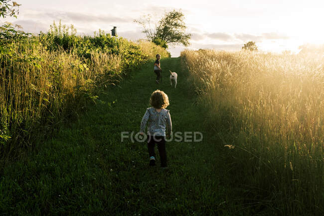 Dos niños llevando a su cachorro en un paseo nocturno de verano en un campo - foto de stock