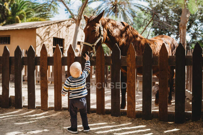 Хлопчик з конем у стайні. — стокове фото