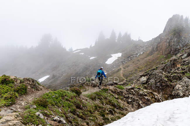Young woman Hiking in north cascades national park — Stock Photo