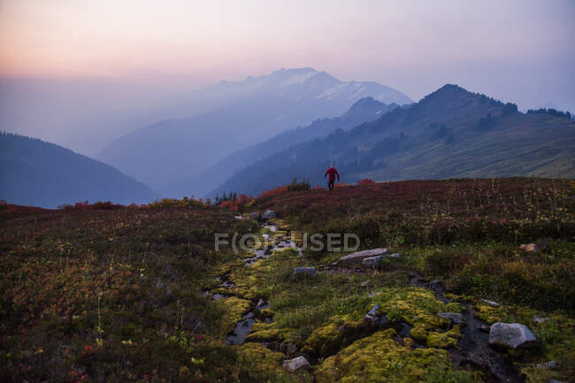 Vor einem farbenfrohen Himmel bei Sonnenaufgang geht ein Bergsteiger durch ein Feld und steigt zum Glacier Peak in der Glacier Peak Wilderness in Washington auf. — Stockfoto