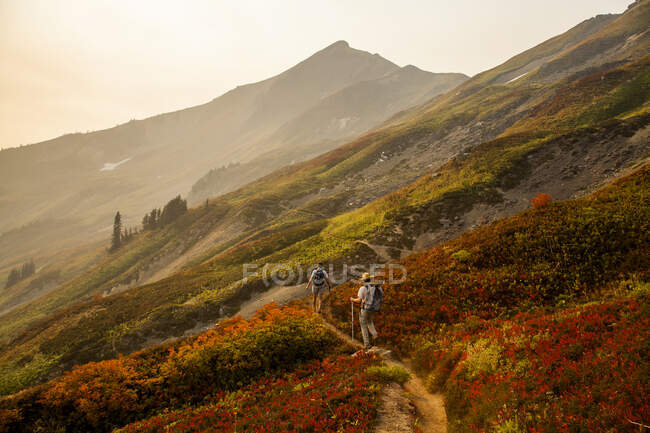 A forest fire turns a bright landscape red with wildflowers as two climbers descend a trail in the Glacier Peak Wilderness of Washington. (released: Sam Thompson and David Hanson) — Stock Photo
