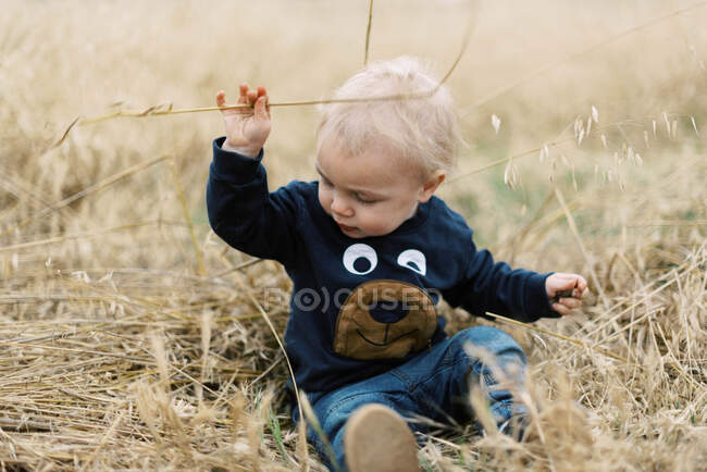 Pequeño bebé jugando en hierba seca en el sur de California en primavera - foto de stock