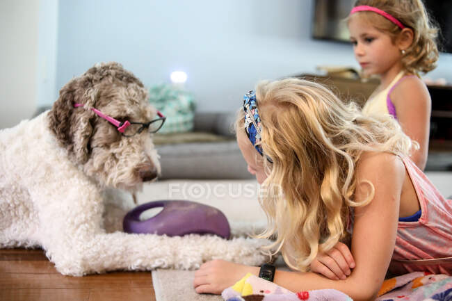 Due ragazze che giocano con grande cane marrone e bianco sul pavimento a casa — Foto stock