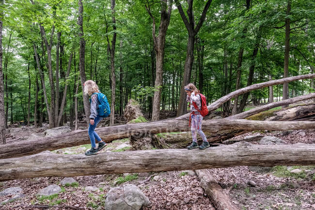 Due ragazze che camminano attraverso tronchi d'albero caduti mentre camminano in primavera — Foto stock