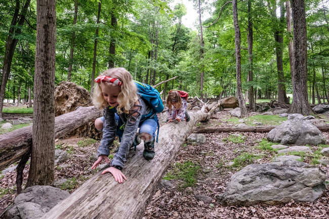Two girls climbing over fallen tree trunks while hiking in springtime — Stock Photo