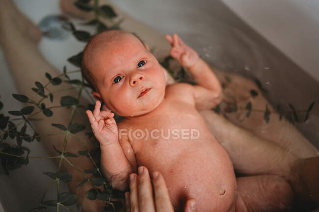 Mother holding newborn baby in bath tub in home birth with eucalyptus — Stock Photo