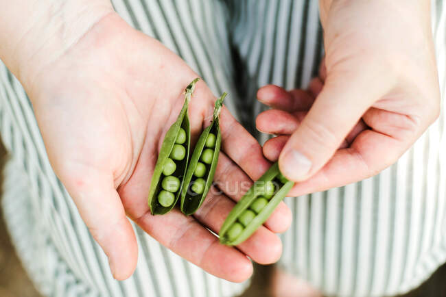 Woman holding peas in garden — Stock Photo