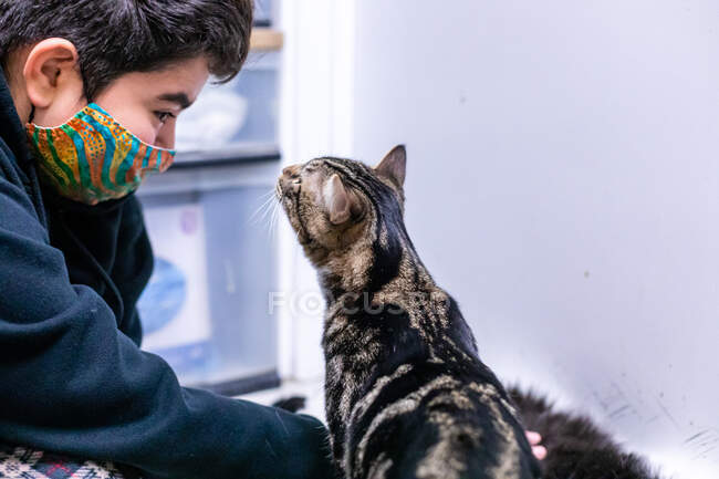 Katze trifft Kind mit Maske für Pandemie-Adoptionen im Tierheim — Stockfoto