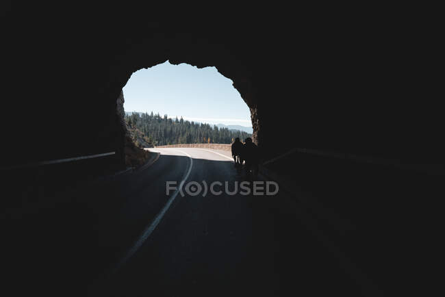 Велосипедист едет через туннель в лесу — стоковое фото