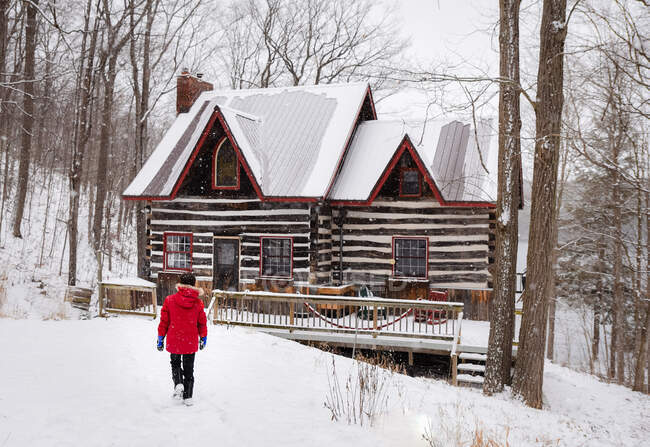 Niño en abrigo de invierno rojo caminando hacia la cabaña de troncos en el día de invierno nevado. - foto de stock
