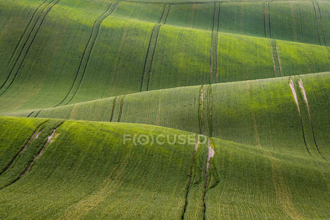 Paisaje natural con verdes colinas onduladas - foto de stock
