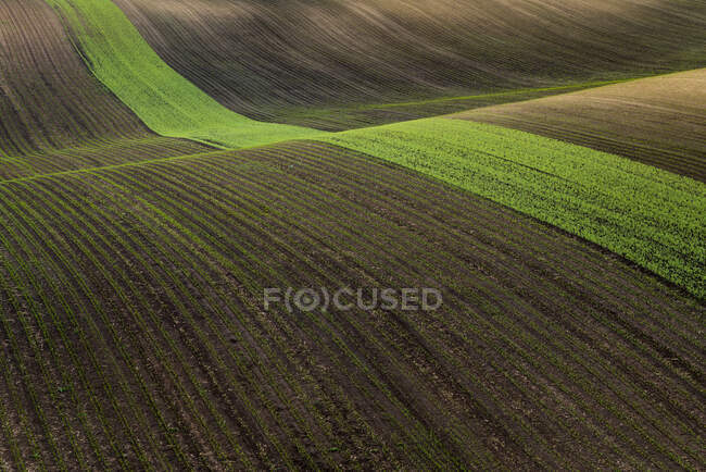 Campo agrícola cultivado y colinas onduladas en la República Checa - foto de stock