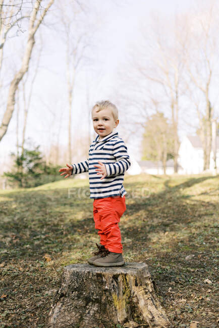 Little happy toddler boy standing on tree stump outside in backyard — Stock Photo