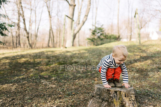 Little happy toddler boy standing on tree stump outside in backyard — Stock Photo
