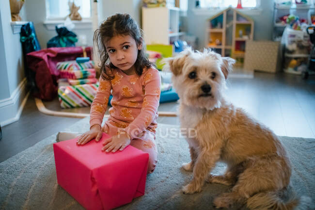Chica y perro esperando para abrir regalos en la mañana de Navidad - foto de stock