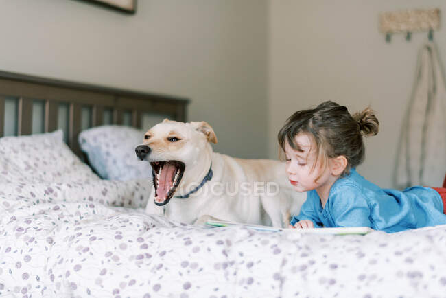 Sweet moment between caring gentle toddler girl and dog on bed — Stock Photo