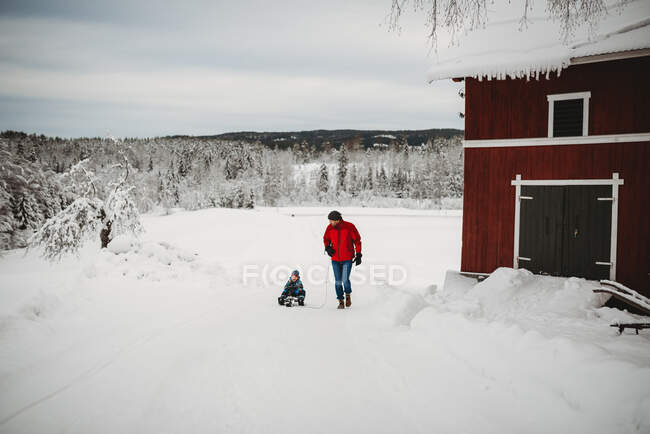 Батько тягне сина на санях у сільській місцевості Норвегії холодною зимою. — стокове фото