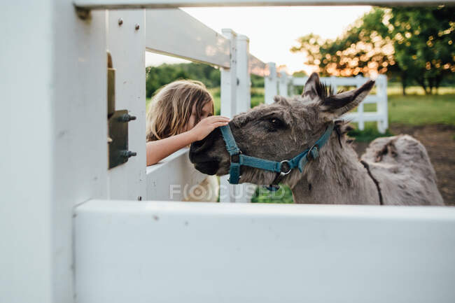 Little boy pets miniature donkey on farm — Stock Photo