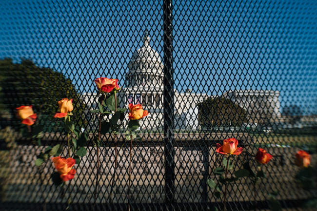 Blumen am Zaun zum Schutz des US-Kapitols nach Krawallen am 6. Januar — Stockfoto