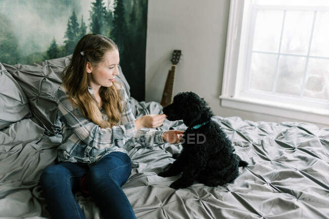 Donna con il suo cane barboncino nero sul letto lo alimenta tratta — Foto stock