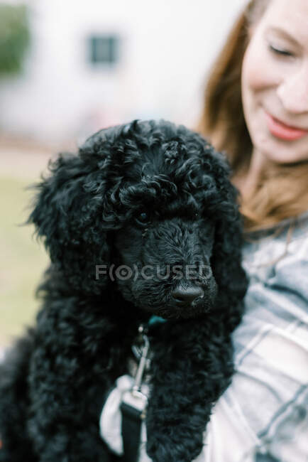 Femme tenant son nouveau chiot caniche mignon noir dans les bras avec fierté — Photo de stock