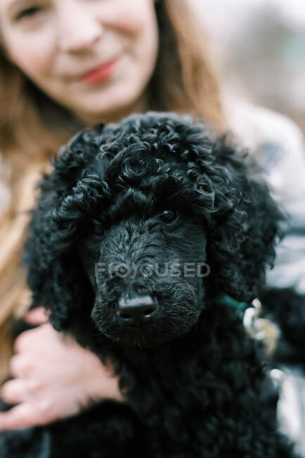 Mulher segurando seu preto novo cachorro poodle bonito nos braços amorosamente — Fotografia de Stock