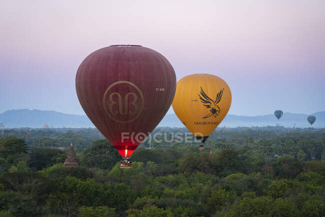 Air balloons with wood panorama — Stock Photo