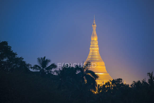 Vista lejana de la Pagoda Shwedagon dorada que se eleva por encima de las palmeras por la noche, Rangún, Región de Rangún, Myanmar - foto de stock