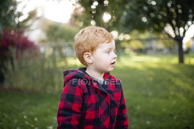 Niño de 3-4 años mirando hacia otro lado en el patio trasero con abrigo de otoño - foto de stock