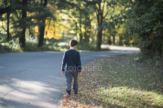 8-10 year old boy walking away down a tree lined road in the fall — Stock Photo