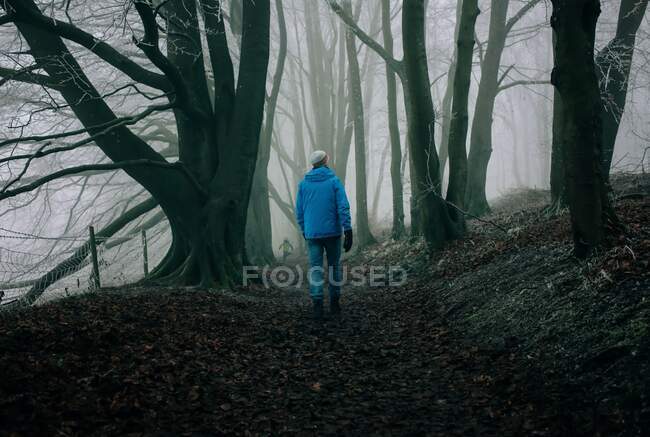 Man walking through a dark English forest in winter with his kids — Stock Photo