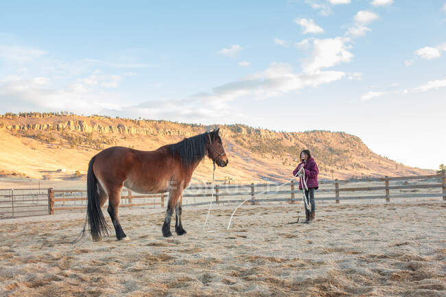 Pferd und Zwillingsmädchen schauen sich beim Training an — Stockfoto
